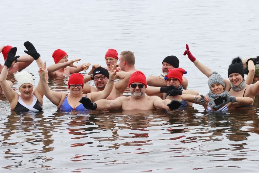 Morsy Pakość na plaży w Jankowie spotykają się w każde...