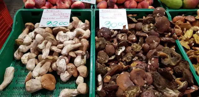 Ceny grzybów na targu na placu Miarki w Katowicach 23 sierpnia 2019