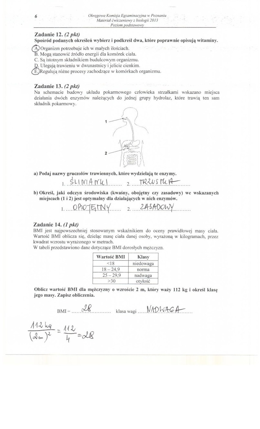 Próbna matura 2013: Biologia [ARKUSZE, ODPOWIEDZI]