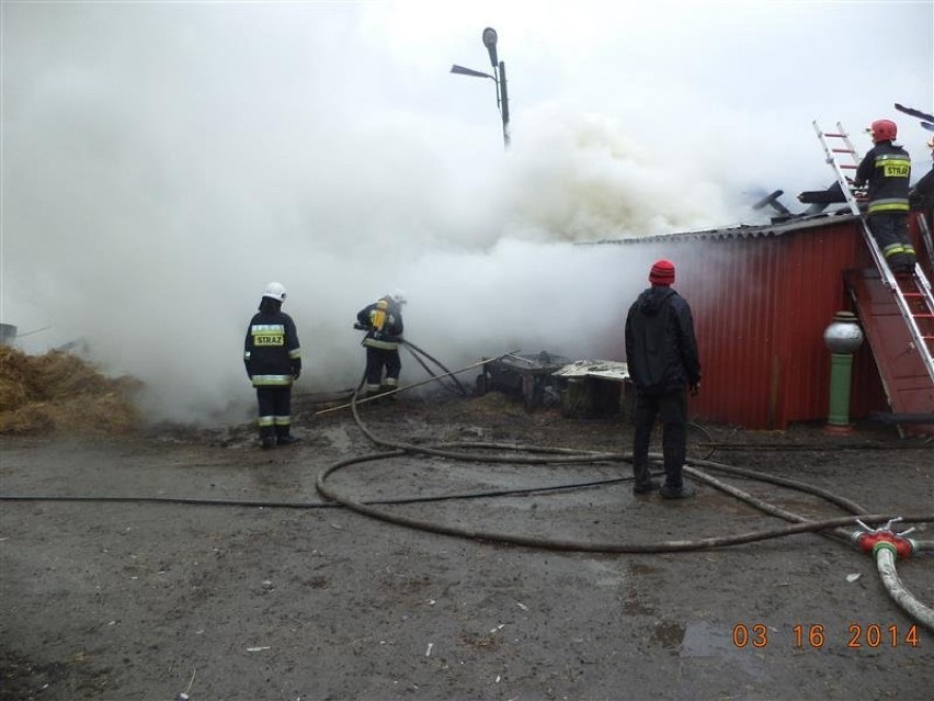 Pożar budynku w Dąbrowie [zdjęcia]