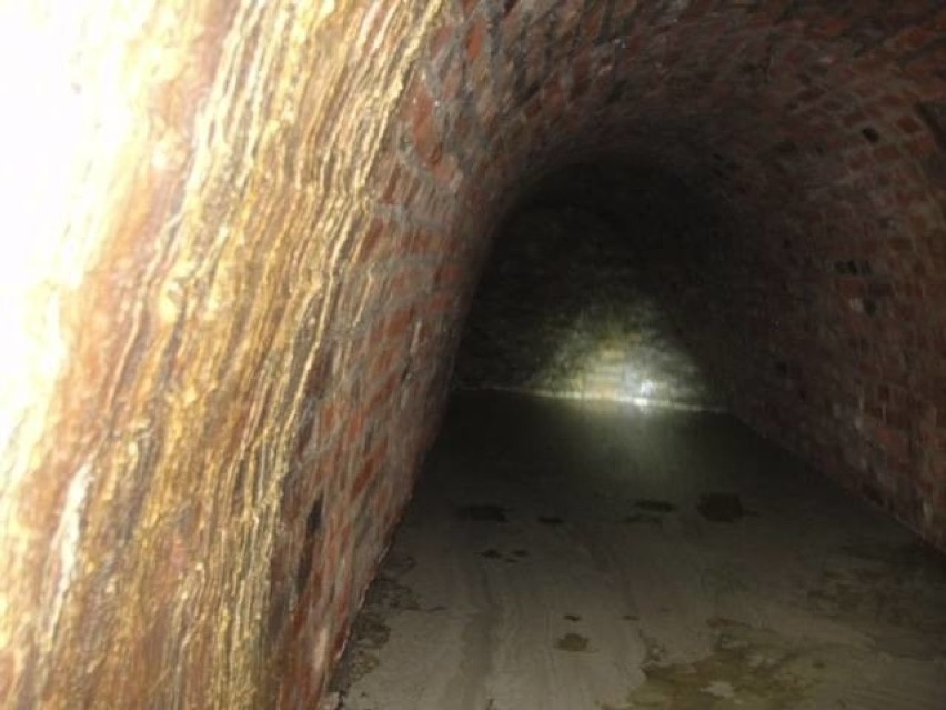 Tunele na północnej skarpie Zamku Książąt Pomorskich, zobacz jak wyglądają!