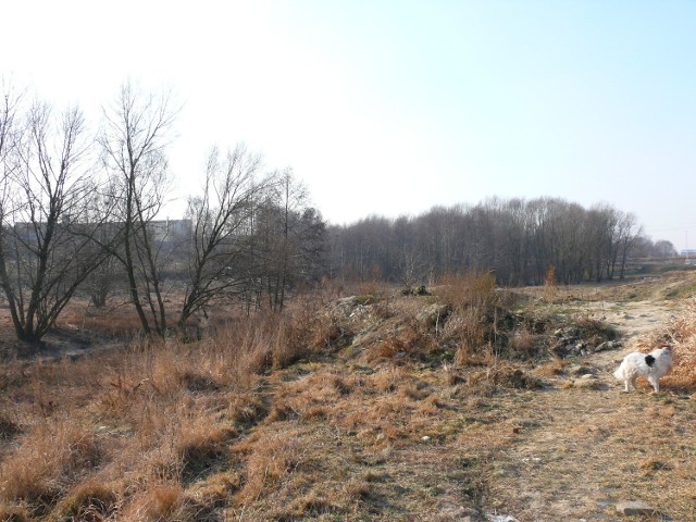 Park nad Krępicą w Kaliszu