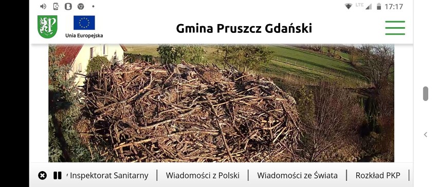 Gm. Pruszcz Gdański. Dzięki kamerze w gnieździe można podglądać bocianie życie on-line