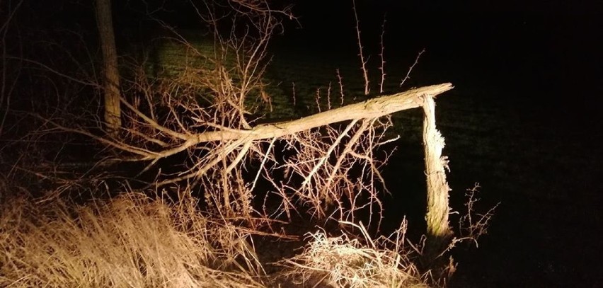 Powiat Gniezno: silny wiatr w niedzielę i poniedziałek