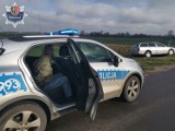 Grębocice: Pijany kierowca uciekał autem przed policją i wpadł w pole 