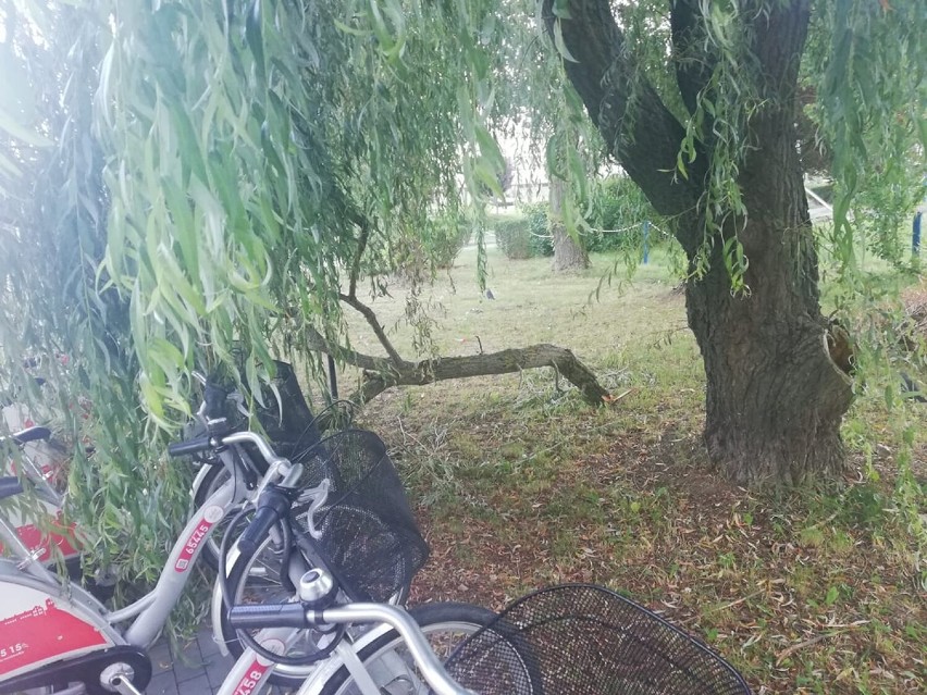 Gałęzie wierzby przygniotły stację rowerów miejskich w...