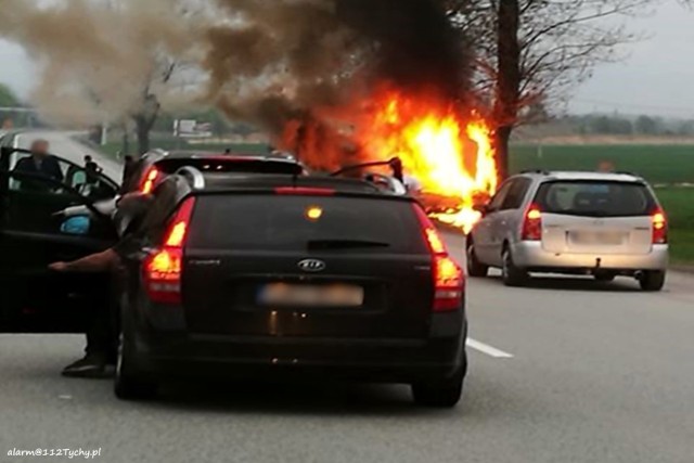 Samochód uderzył w drzewo i zapalił się. Kobieta zginęła