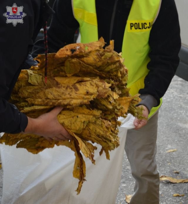 Kontrola busa w Chmielku: kierowca wiózł 700 kilogramów tytoniu.