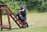 Tor przeszkód dla psów policyjnych. Eliminacje do Kynologicznych Mistrzostw Policji odbyły się w Łodzi. Zobacz film
