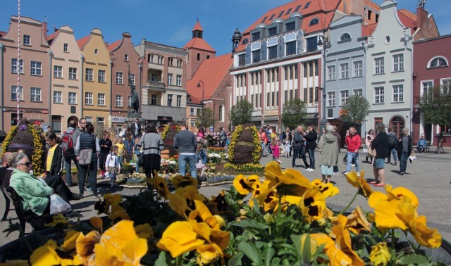 Gustowna instalacja świąteczna na grudziądzkim rynku przyciąga rzesze spacerowiczów a zwłaszcza dzieci. Grudziądzanie i goście przebywający w naszym mieście bardzo chętnie fotografują się na tle tej pięknej dekoracji wiosenno-świątecznej. Na zlecenie miasta przygotowało ją gospodarstwo ogrodnicze Andrzeja Webera.