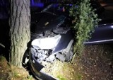 W Słoku koło Bełchatowa pijany kierowca uderzył samochodem w drzewo