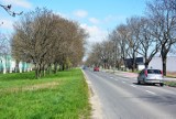 Miliony na remonty dróg w Strzegomiu, m.in. na Aleję Wojska Polskiego