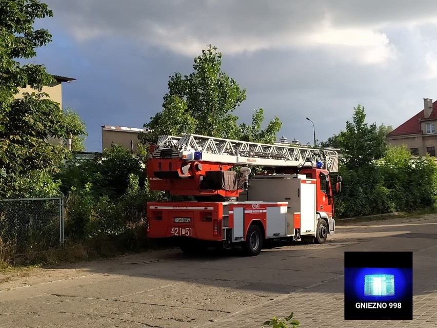 Ściółka leśna, śmieci – codzienność gnieźnieńskich strażaków