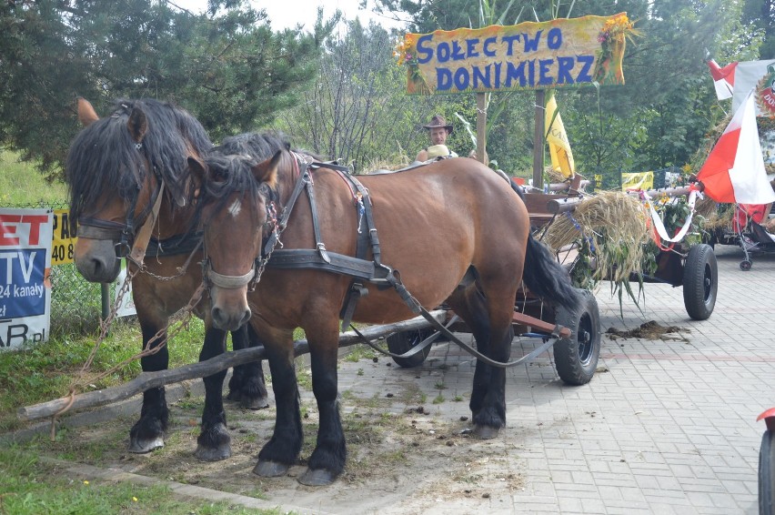 Dożynki Gminne Szemud 2018. Kaszubskie wsie zakończyły żniwa z przytupem [ZDJĘCIA]