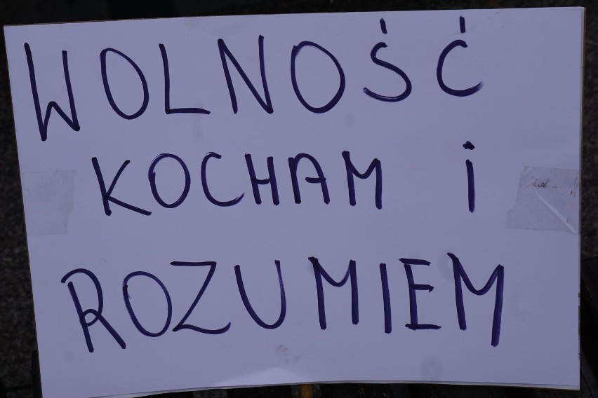 Pikieta billboardowa na ul. Mostowej w Bydgoszczy. Przeciwnicy PIS-u kolejny raz protestowali [zdjęcia]