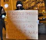 Strajk kobiet w Rybniku przeszedł deptakiem. "W wiosce Smerfów największym zagrożeniem był dziad z kotem"