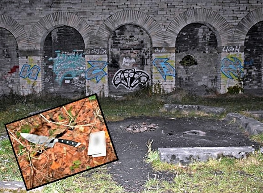 Ruiny byłego nazistowskiego Mauzoleum w Wałbrzychu zapisały...