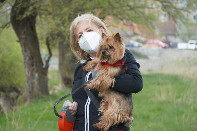 W galerii zdjęć prezentujemy dane dla każdego lubuskiego powiatu.