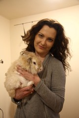 Adopcja królików w Lublinie. Ty też możesz pomóc