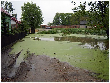 PODTOPIENIA - Mszczyczyn znów zalany - zobacz zdjęcia