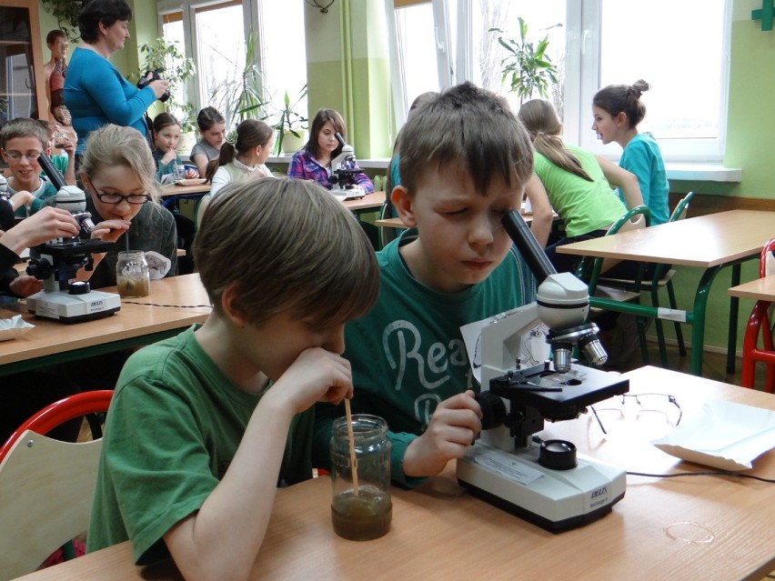 Ekopracownia w ZSG 7 w Radomsku oficjalnie otwarta