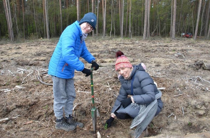Sadzenie lasu z Nadleśnictwem Karczma Borowa 2019
