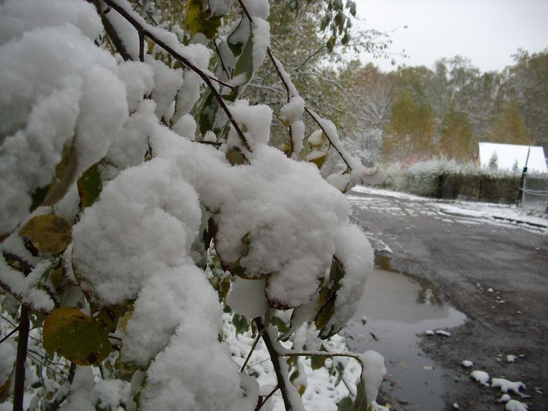 Pierwszy śnieg w Jaworznie [ZDJĘCIA]. Spadł pierwszy śnieg - czekamy na Wasze zdjęcia