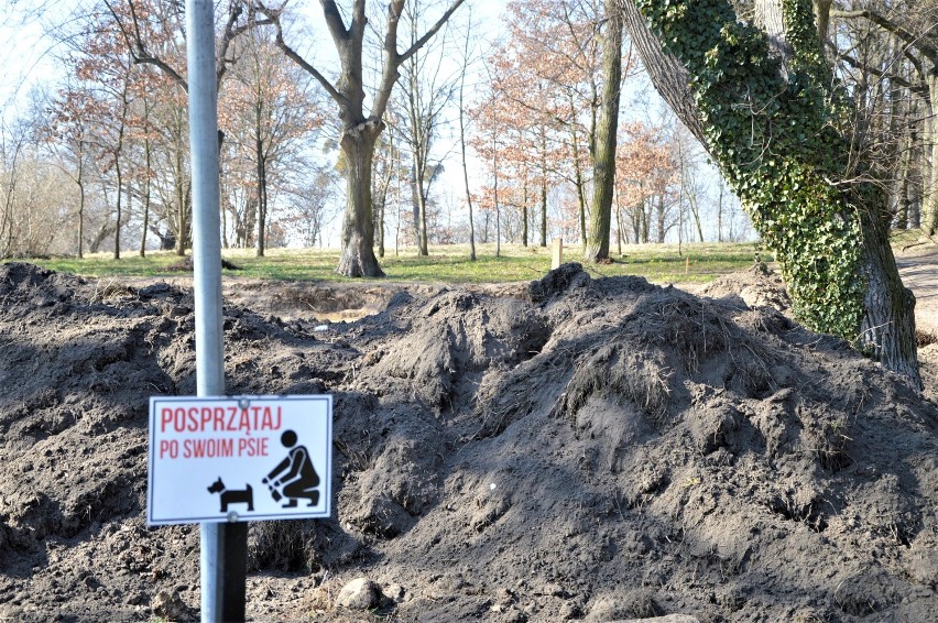 Malbork. Za Szpitalem Jerozolimskim robi się pięknie. Czy dawny cmentarz będzie nosił nową nazwę? Propozycja trafi na sesję Rady Miasta