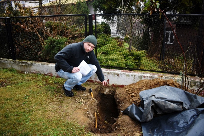 W ogrodzie Andrzeja Krynickiego od września odkopana jest...