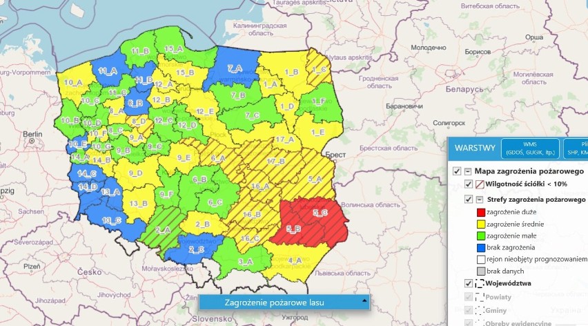 Upały dają się we znaki. W lubelskich lasach drugi oraz trzeci stopień zagrożenia pożarowego 