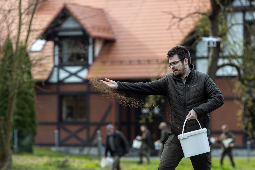 Leśnicy z Nadleśnictwa Lutówko podczas prac nad łąką kwietną