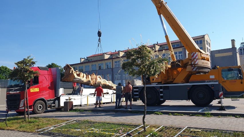 Hel bije rekord Guinnessa. W mieście na Początku Polski stanie rzeźba