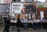 Nie pij krowiego mleka! - apelowali w centrum Poznania [ZDJĘCIA]