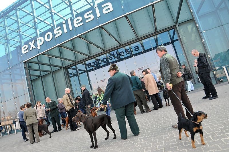 Sosnowiec: Targi łowieckie EXPOHunting 2012 w Expo Silesia ruszają 30 marca