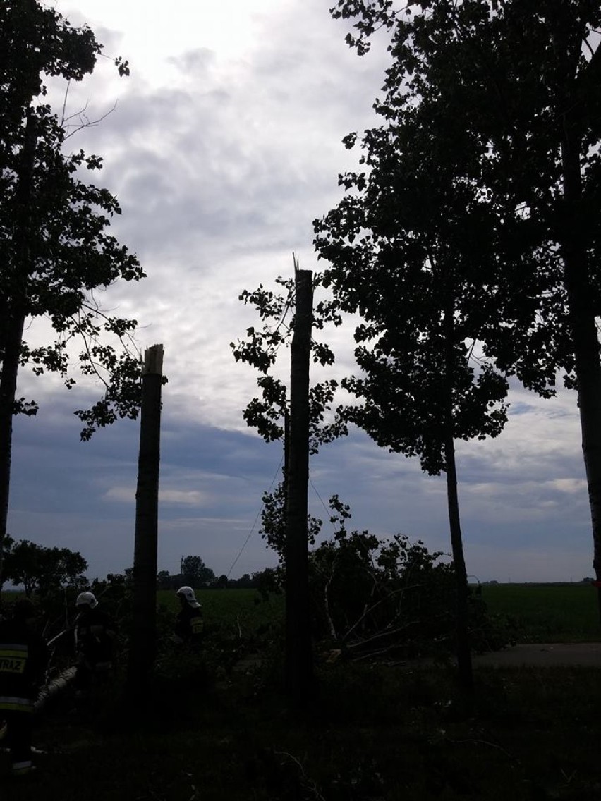 Gmina Grzegorzew: Powalone drzewa uszkodziły linię energetyczną