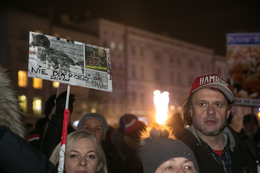 Dziki protest w obronie dzików w Krakowie. "Dzik czuje, tak...