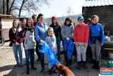 Działacze Przytul Pyska i ochotnicy sprzątali las (ZDJĘCIA) 