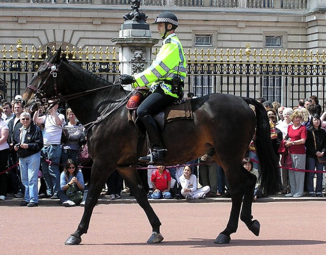 Funkcjonariusz policji przed pałacem Buckingham