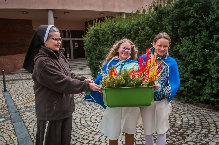 Pięknych palm i uroczyście przeżytej Niedzieli Palmowej nie zabrakło także w Katedrze Świętych Apostołów Piotra i Pawła w Gliwicach 