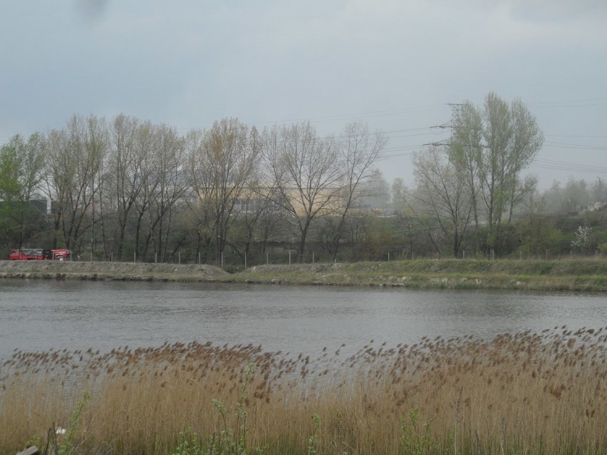 Pożar wysypiska w Świętochłowicach