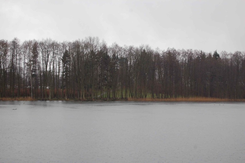 Widok na zasłoniętą jeszcze drzewami wieżę Bismarcka w...