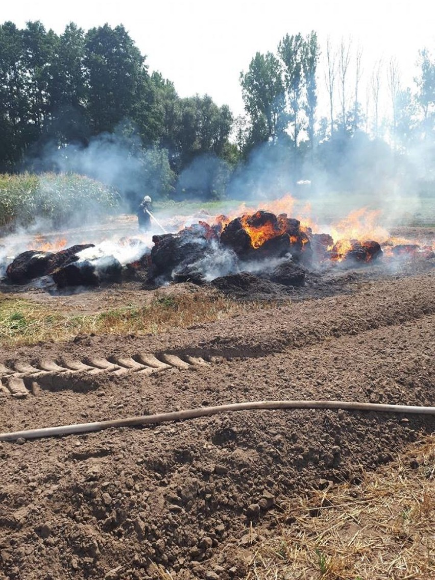 Pożar stogu słomy na polu w Gradowicach