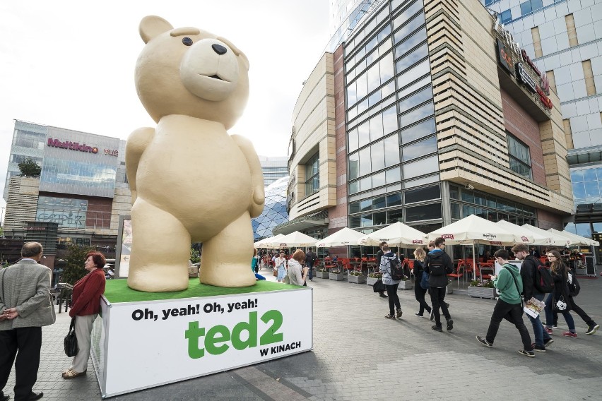 Wielki miś Ted stanął przed Złotymi Tarasami