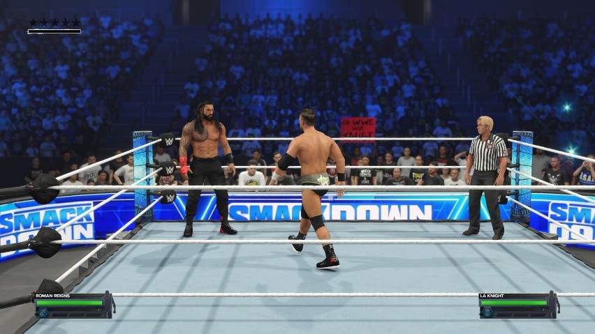 Walki są tak spektakularne, jak przystało na WWE.