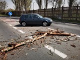 Kujawsko-Pomorskie. Silny wiatr łamał konary, przewracał drzewa. Strażacy mieli mnóstwo pracy