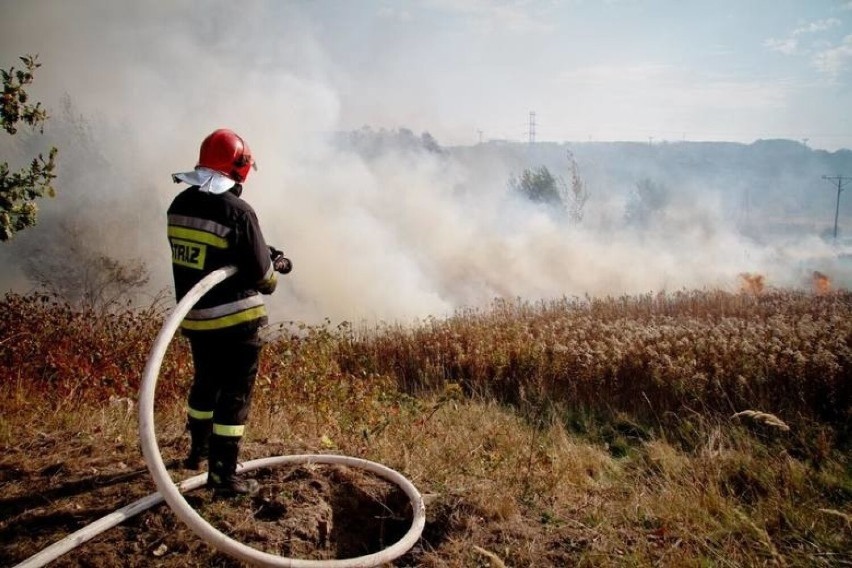 Są pierwsze pożary traw. Agencja Restrukturyzacji i Modernizacji Rolnictwa przypomina: ich wypalanie jest karalne ZDJĘCIA