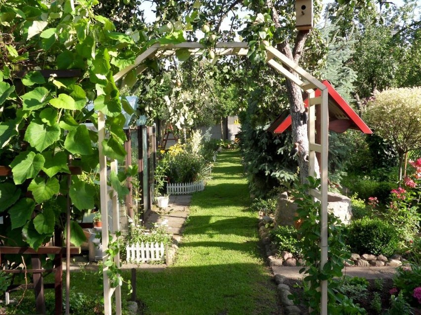 Ogród - Danuty Mendlik [ZDJĘCIA]