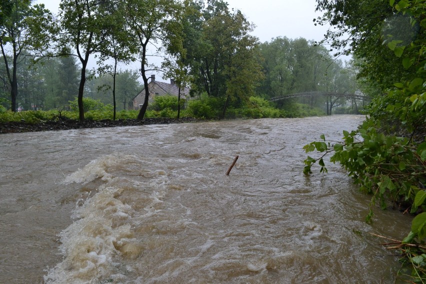 Powódź w Bielsku-Białej 2014? Starosta ogłosił alarm przeciwpowodziowy