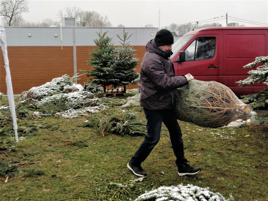 W Goleniowie pojawiło się kilka punktów, w których...