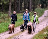 Zawody dogtrekking odbyły się w Zbychowie